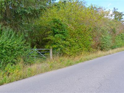 Picture 26